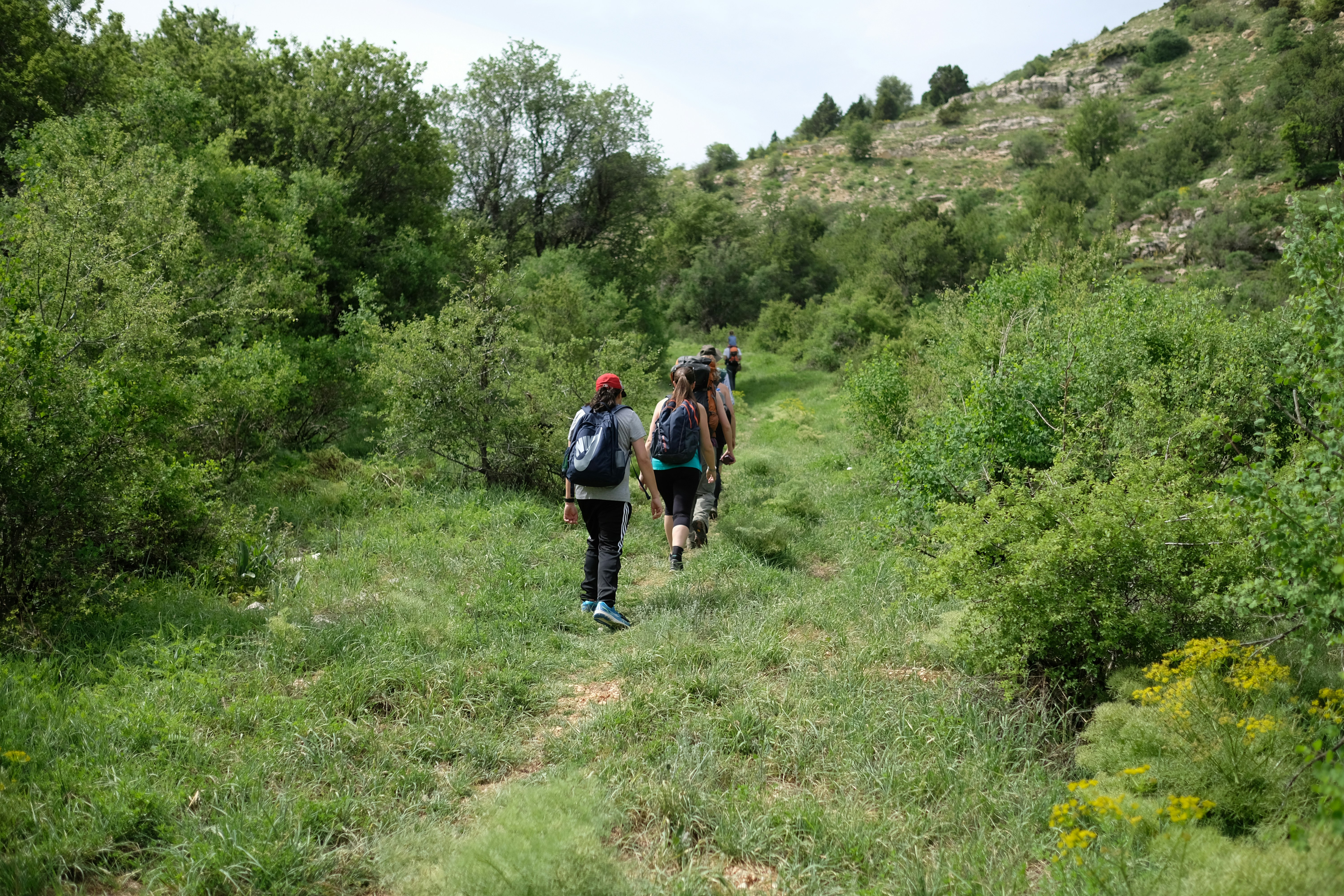 Hikers on mountain trail